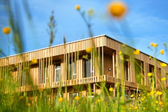 Befestigungstechnologien im Holzbau, Bauzulieferindustrie