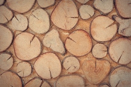 B2B-Handel: Holz-Fachgroßhandel